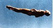 Arnry Diving